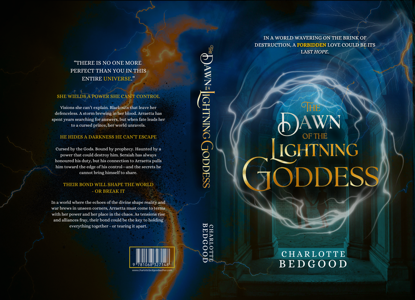 The Dawn of The Lightning Goddess Paperback